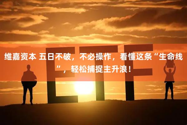 维嘉资本 五日不破，不必操作，看懂这条“生命线”，轻松捕捉主升浪！