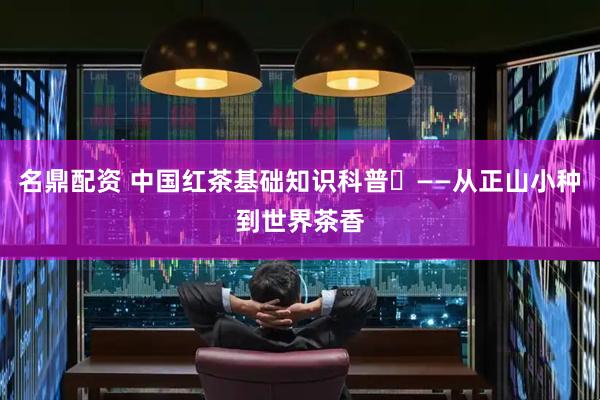 名鼎配资 中国红茶基础知识科普​——从正山小种到世界茶香